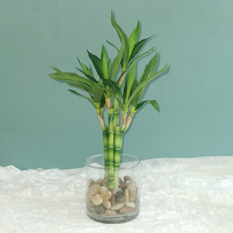 Yeni 40cm Yapay Şanslı Bambu S - Desktop Organizer Bamboo incelemesi ve fiyatı