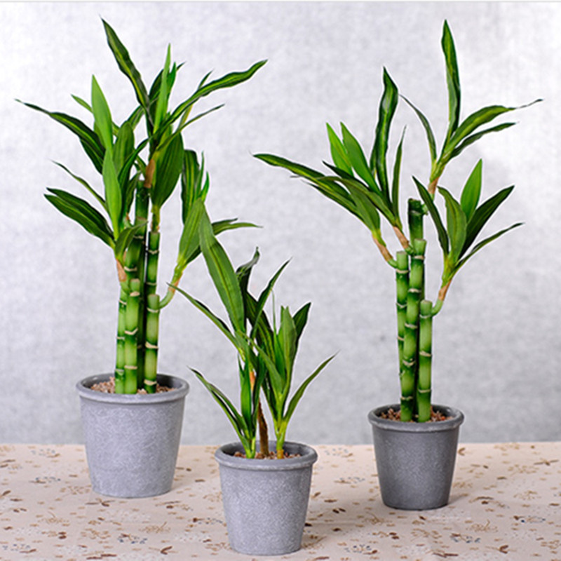 Yeni 40cm Yapay Şanslı Bambu S - Desktop Organizer Bamboo incelemesi ve fiyatı