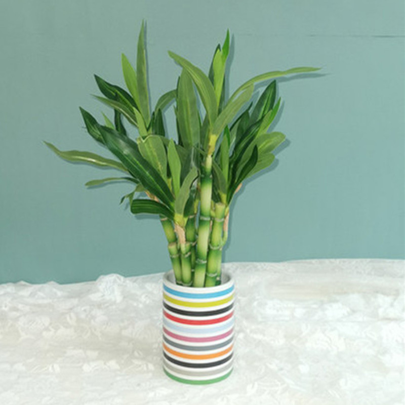 Yeni 40cm Yapay Şanslı Bambu S - Desktop Organizer Bamboo incelemesi ve fiyatı